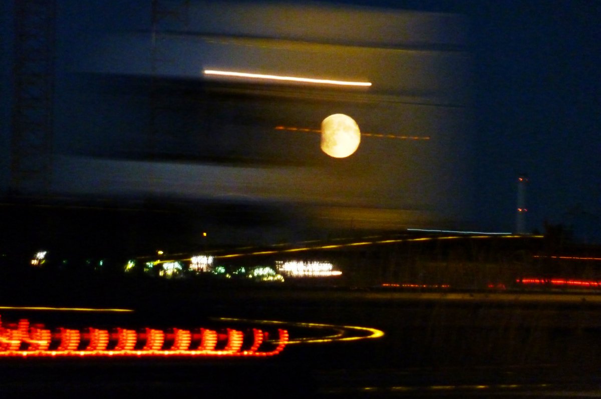 Website Photo 15