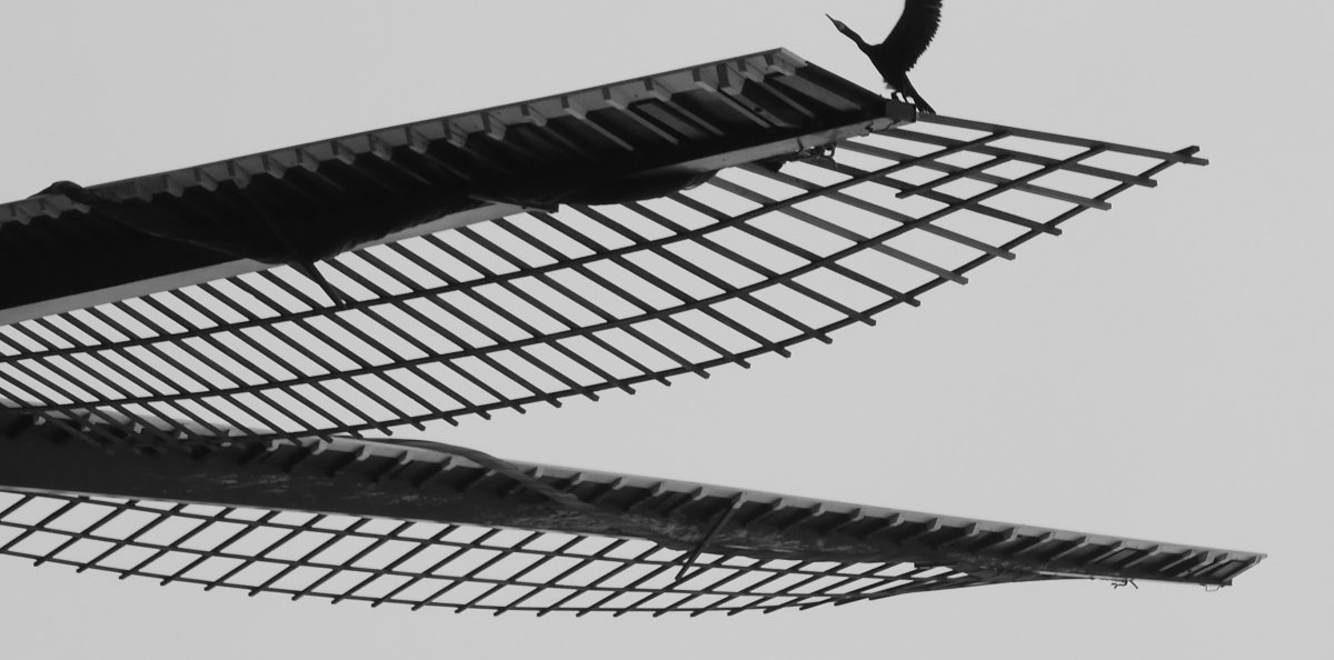 website Molen