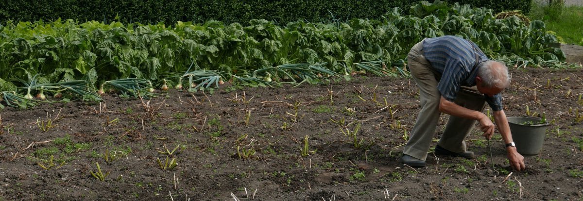 Website Tuin.
