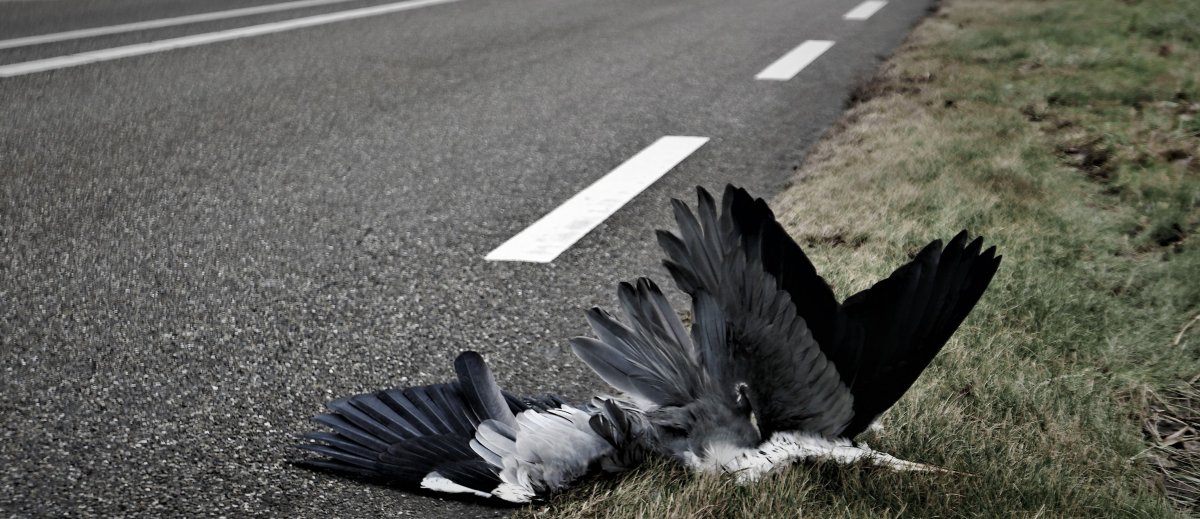 website-reiger-02-2